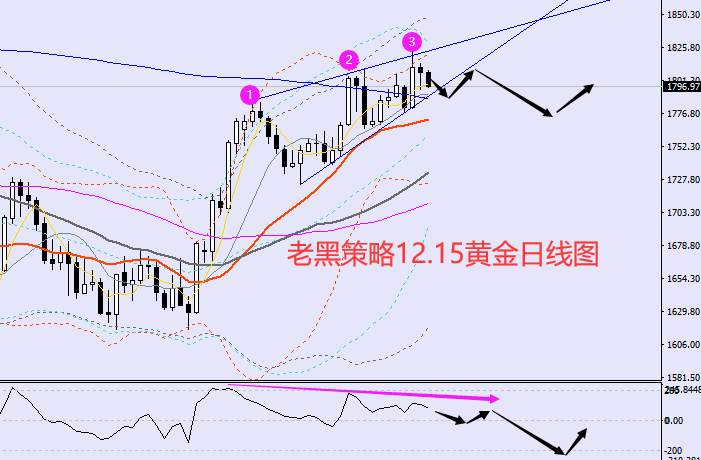 老黑策略：12.15外汇、黄金、原油分析策略