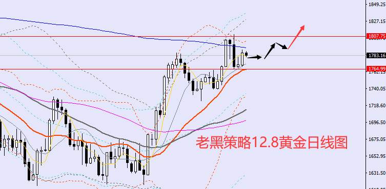 老黑策略：12.8外汇、黄金、原油分析策略