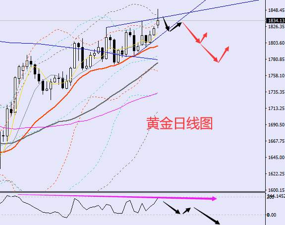 老黑策略：1.3晚盘外汇、黄金、原油分析策略