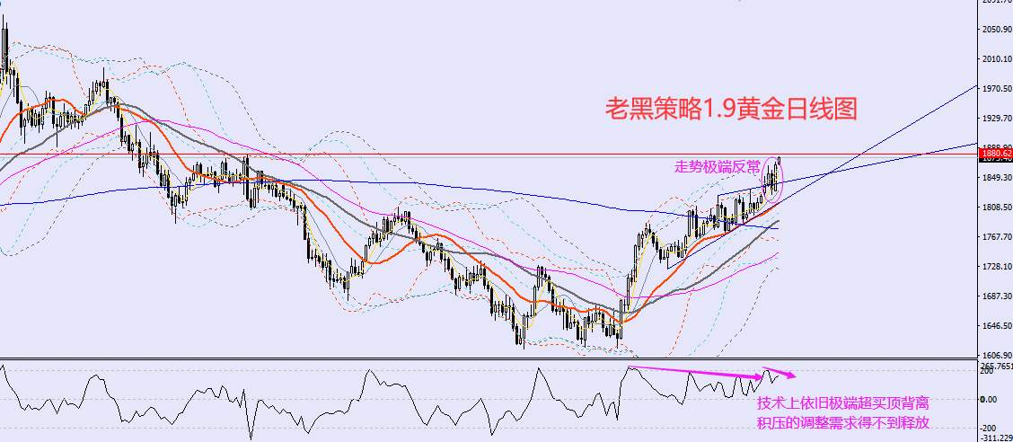 老黑策略：1.9外汇、黄金、原油分析策略