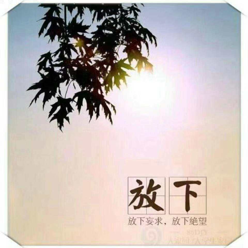 浮亏13万中，后天的美联储会议是否是转折点？