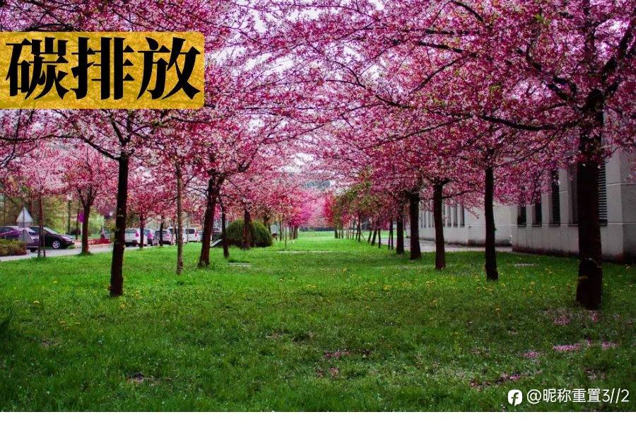 美国为了碳排放做了那些举动,exness感觉是不是和中国很像