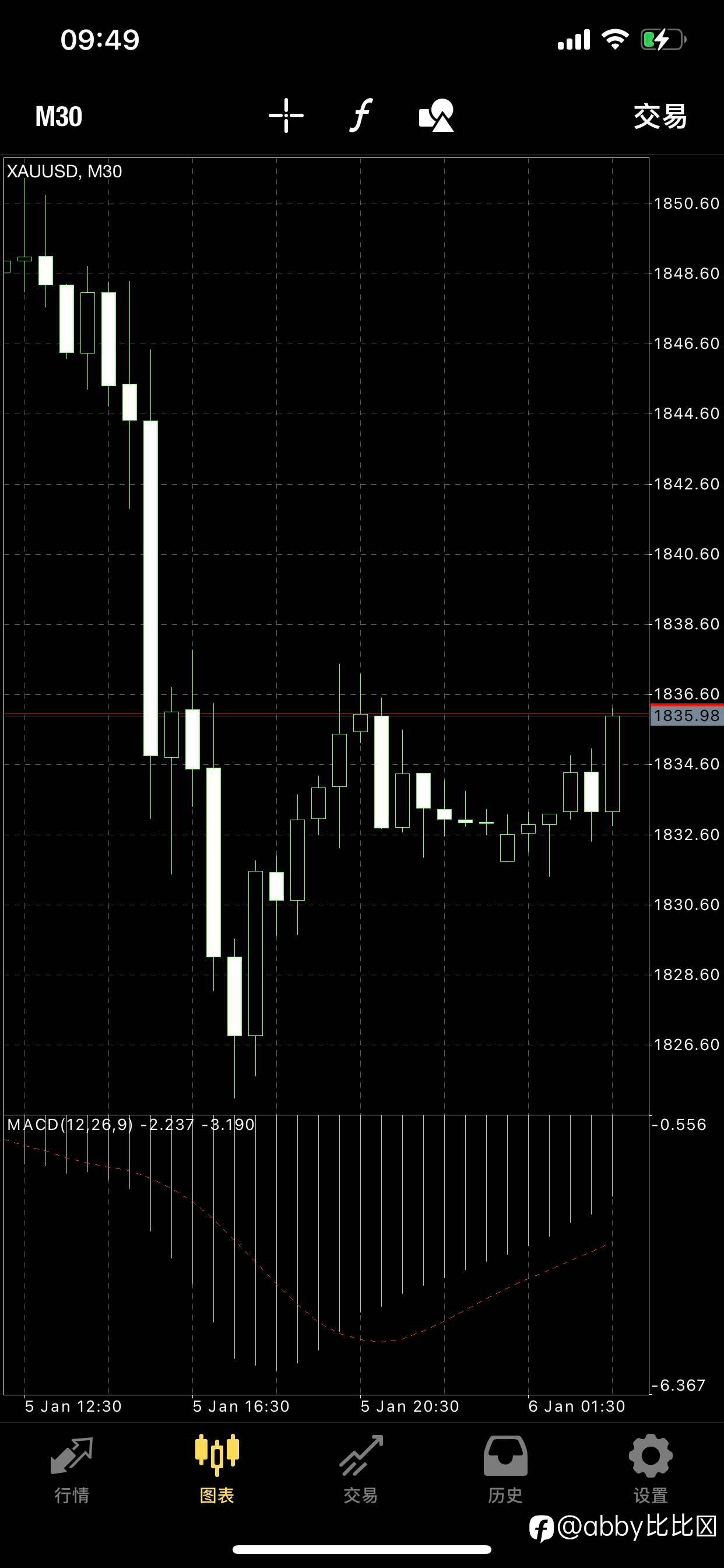 feed-image-0