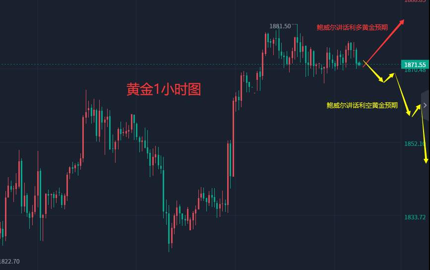 张轩昊：1.10晚盘外汇、黄金、原油分析策略