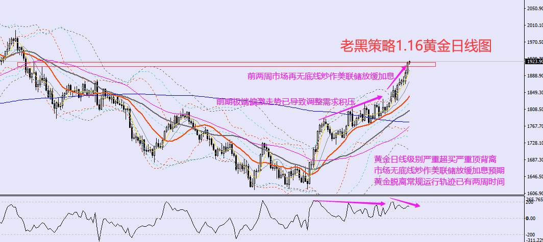 老黑策略：​1.16外汇、黄金、原油分析策略