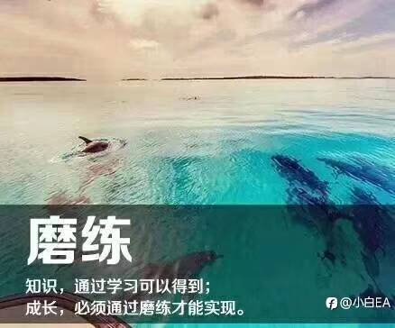 EA之坑，越玩越深