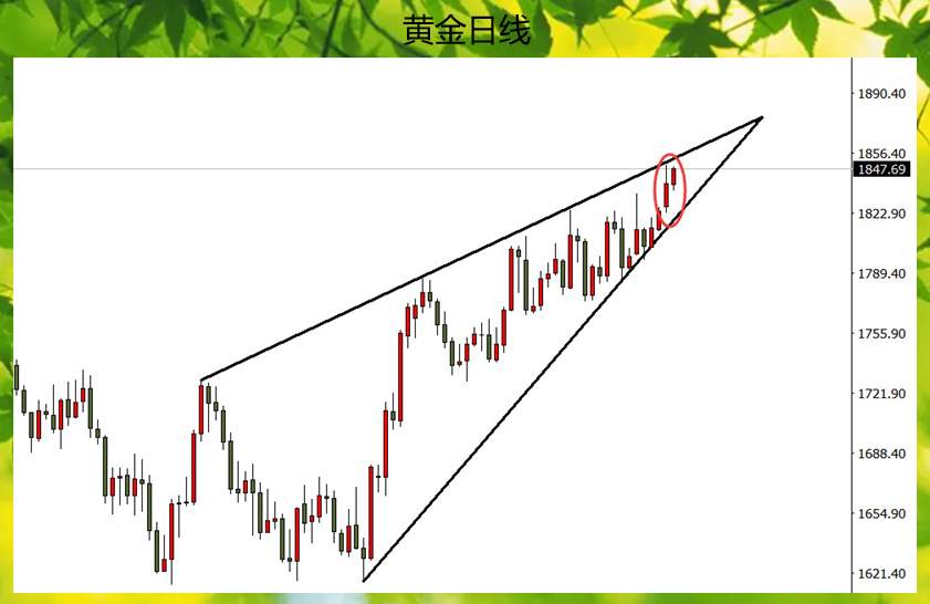 feed-image-1