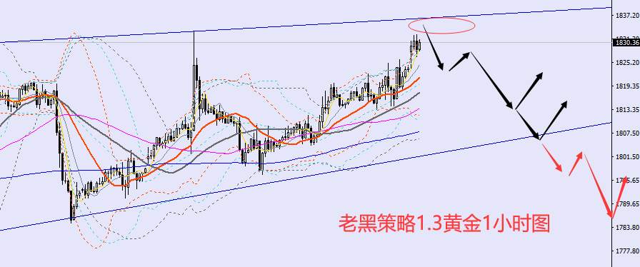 老黑策略：1.3外汇、黄金、原油分析策略