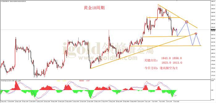 【日内策略】ADP就业数据超预期向好 黄金承压大跌下行