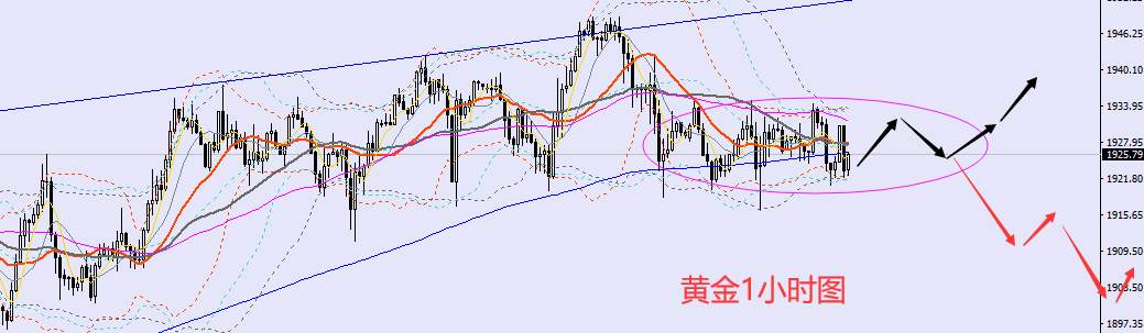 老黑策略：1.30晚盘外汇、黄金、原油分析策略