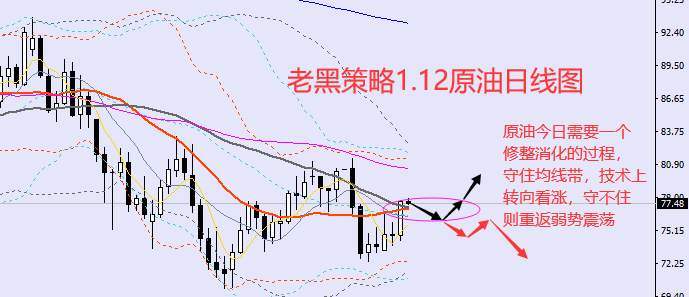 老黑策略：​1.12外汇、黄金、原油分析策略