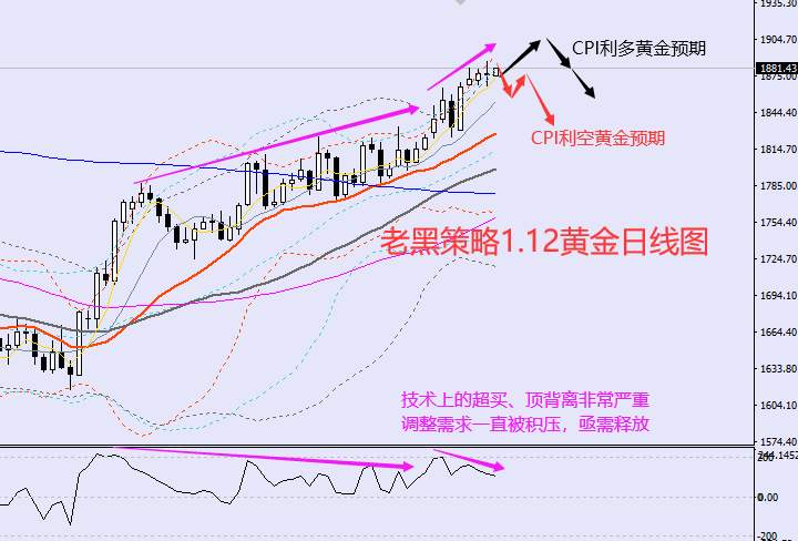 老黑策略：​1.12外汇、黄金、原油分析策略