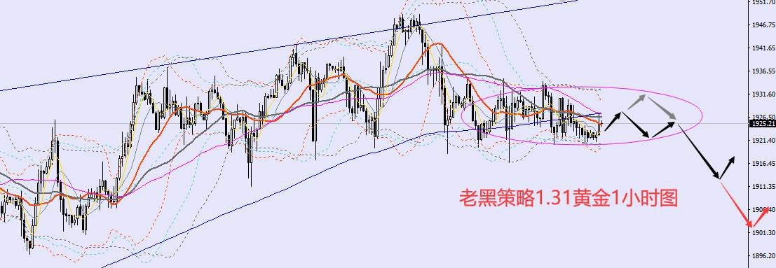 老黑策略：1.31外汇、黄金、原油分析策略