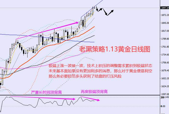 老黑策略：1.13外汇、黄金、原油分析策略