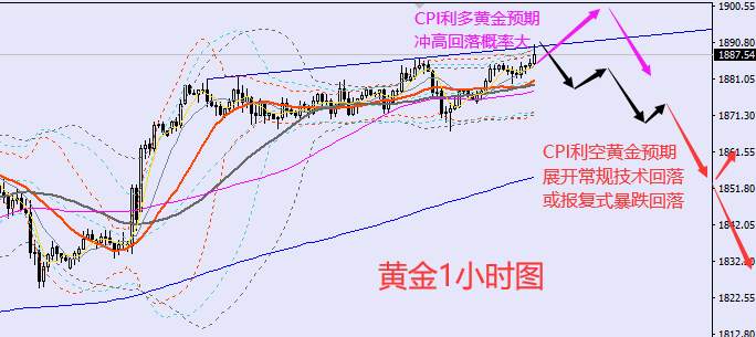 老黑策略：1.12晚盘外汇、黄金、原油分析策略
