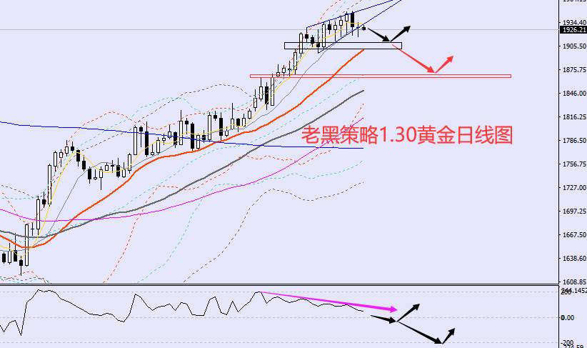 老黑策略：1.30外汇、黄金、原油分析策略
