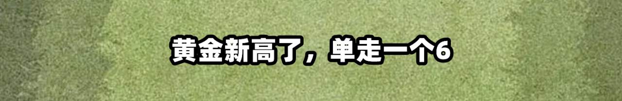 feed-image-0