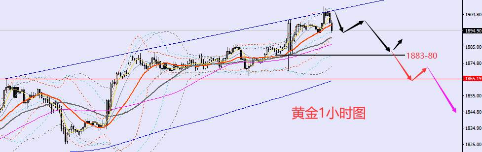 老黑策略：1.13晚盘外汇、黄金、原油分析策略