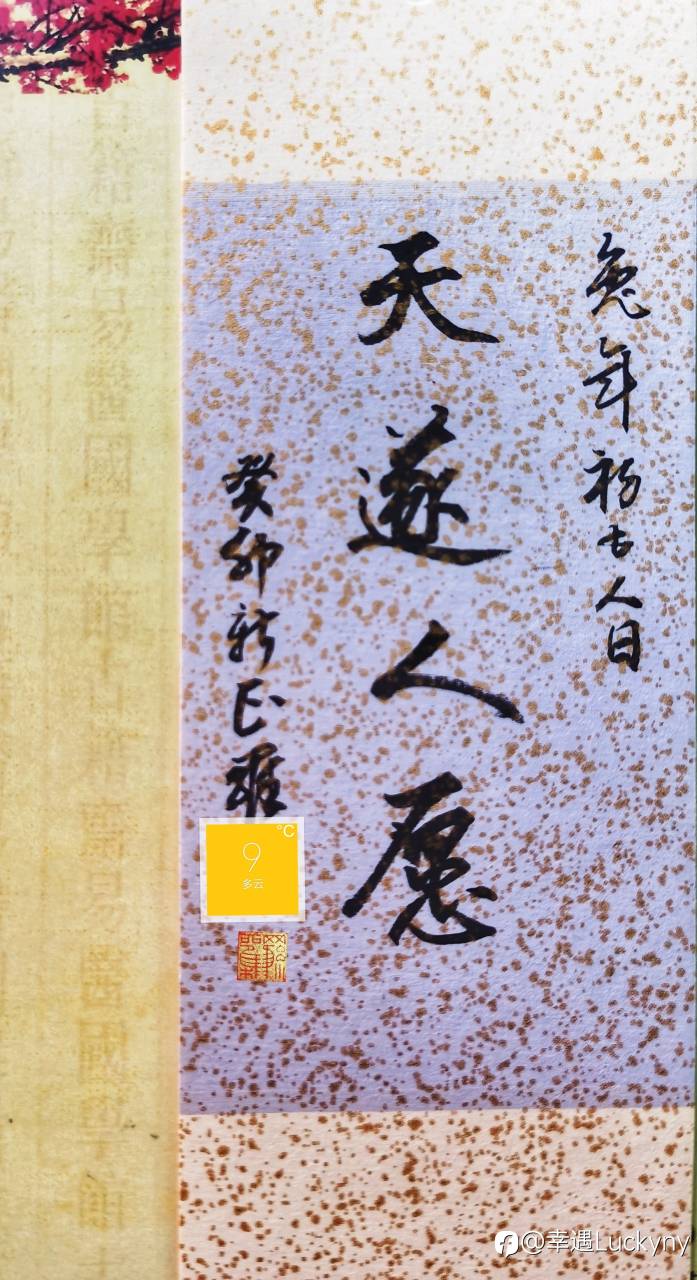 今日阳光灿烂！