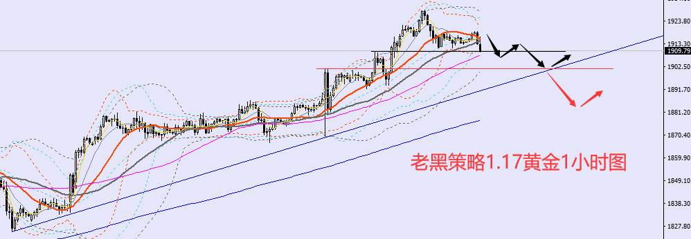 老黑策略：1.17外汇、黄金、原油分析策略