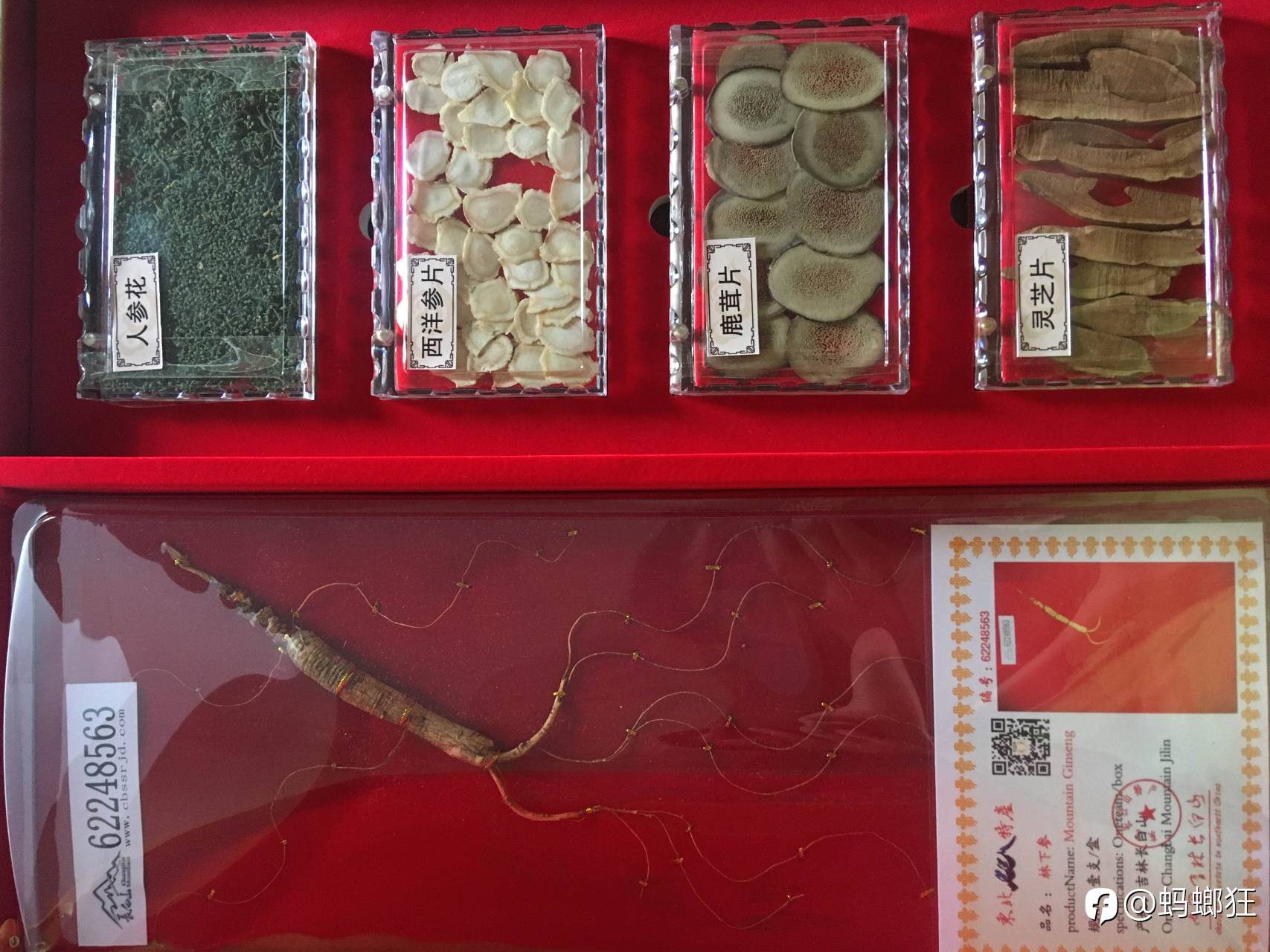 人参 不知道怎么吃 吃惯了榨菜 补品不知道怎么补