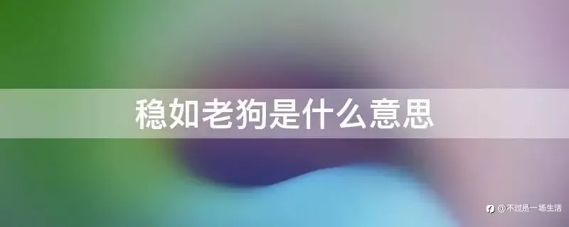 信号品鉴(二):易小川🏆🥇🥈🥉