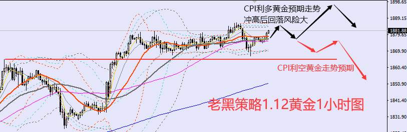 老黑策略：​1.12外汇、黄金、原油分析策略