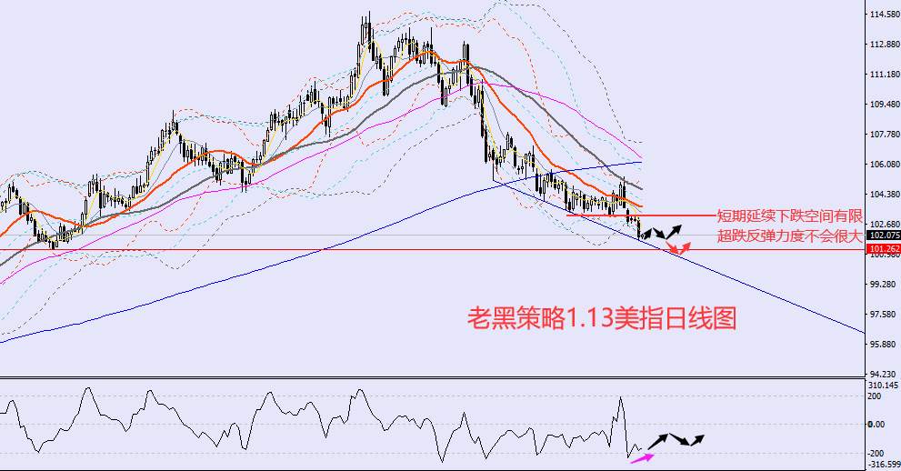 老黑策略：1.13外汇、黄金、原油分析策略