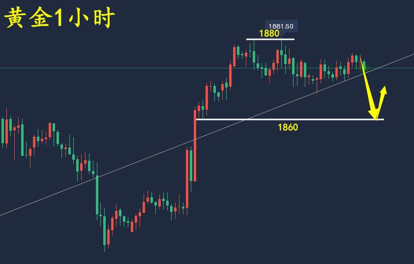 万锦晟1.10晚间黄金走势分析，黄金承压横盘谨防走回撤！
