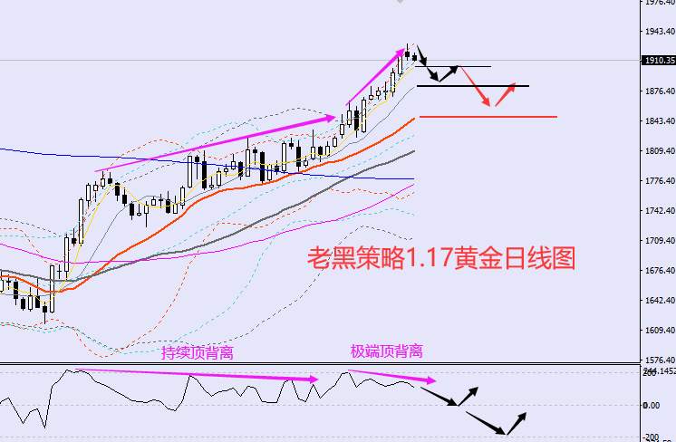 老黑策略：1.17外汇、黄金、原油分析策略