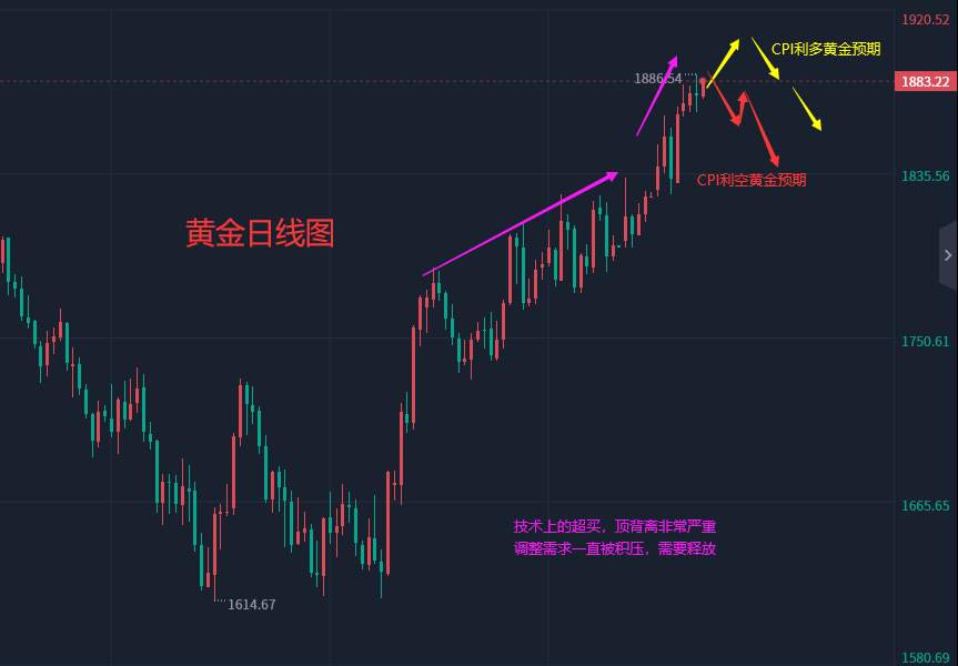 张轩昊：​1.12外汇、黄金、原油分析策略