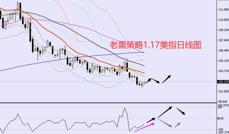 老黑策略：1.17外汇、黄金、原油分析策略