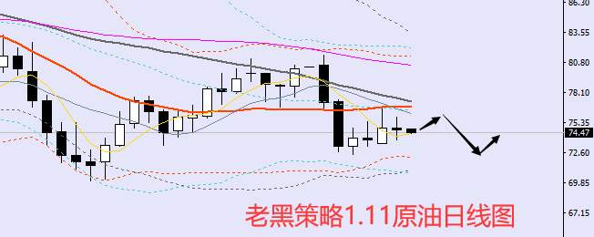 老黑策略：1.11外汇、黄金、原油分析策略