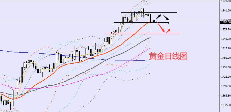 老黑策略：1.31晚盘外汇、黄金、原油分析策略