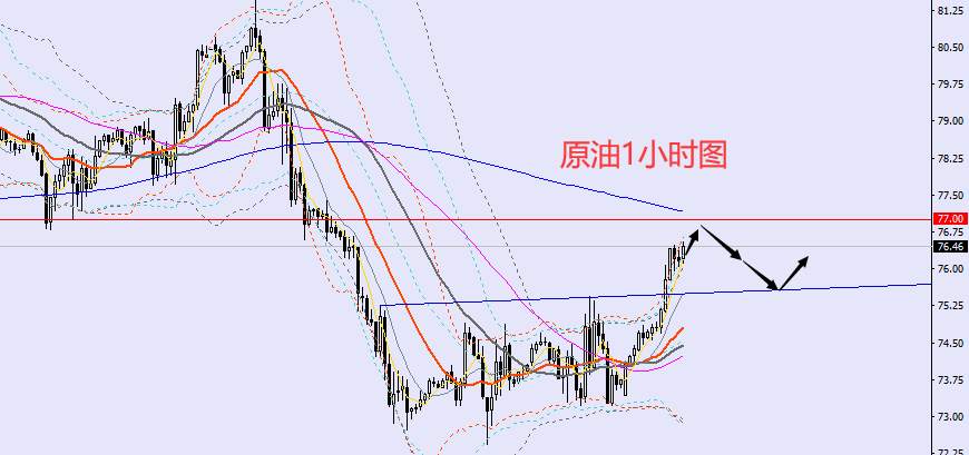 老黑策略：1.9晚盘外汇、黄金、原油分析策略