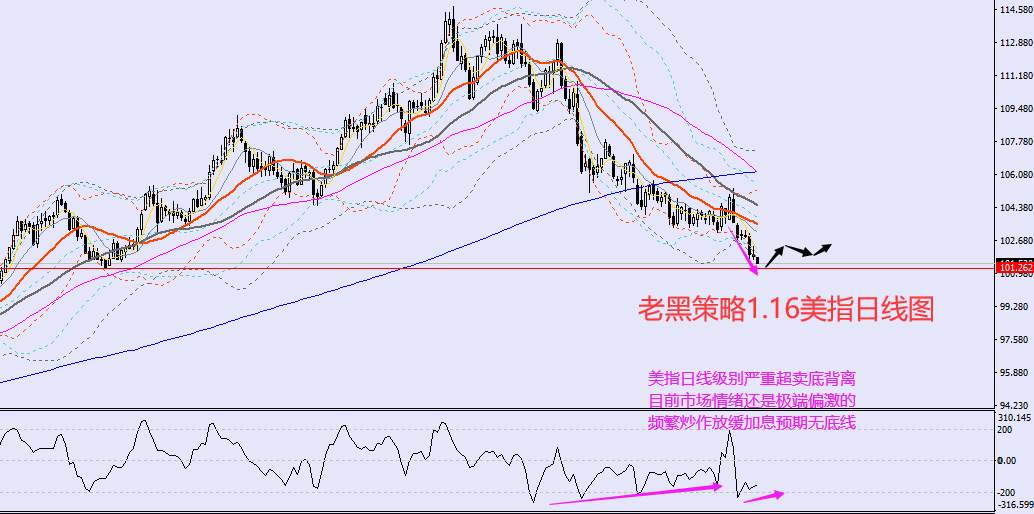老黑策略：​1.16外汇、黄金、原油分析策略