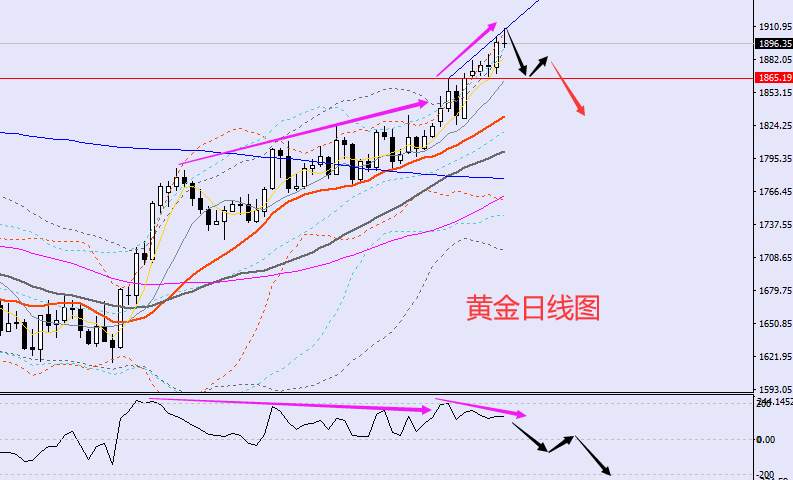 老黑策略：1.13晚盘外汇、黄金、原油分析策略
