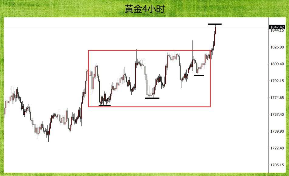 feed-image-1