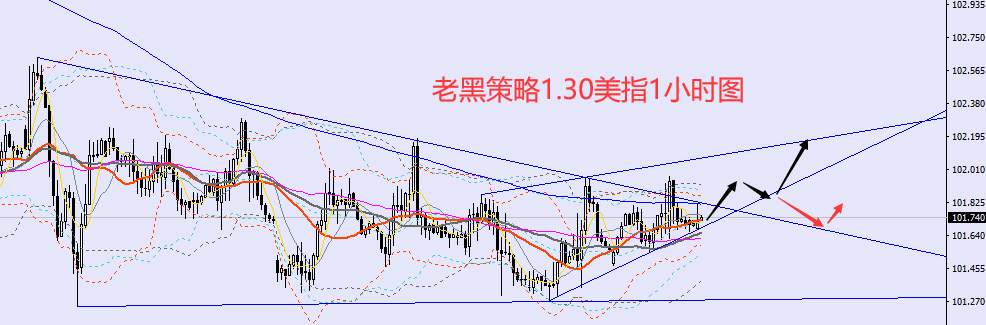 老黑策略：1.30外汇、黄金、原油分析策略