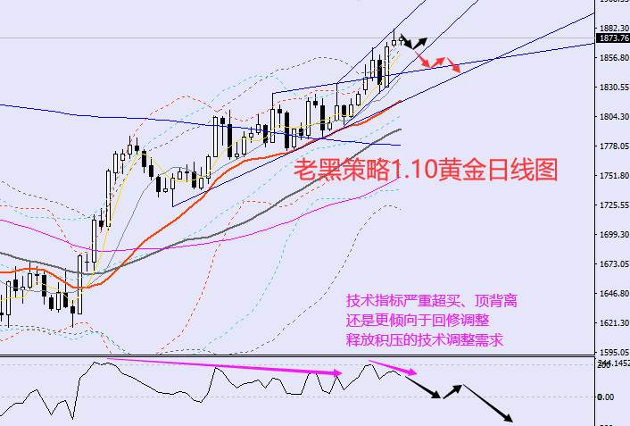 老黑策略：1.10外汇、黄金、原油分析策略