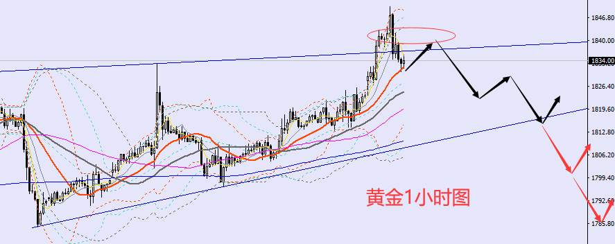 老黑策略：1.3晚盘外汇、黄金、原油分析策略