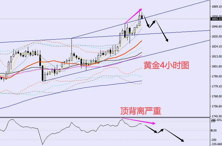 老黑策略：1.4晚盘外汇、黄金、原油分析策略