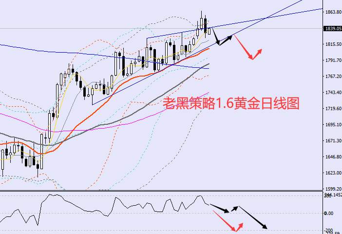 老黑策略：1.6外汇、黄金、原油分析策略