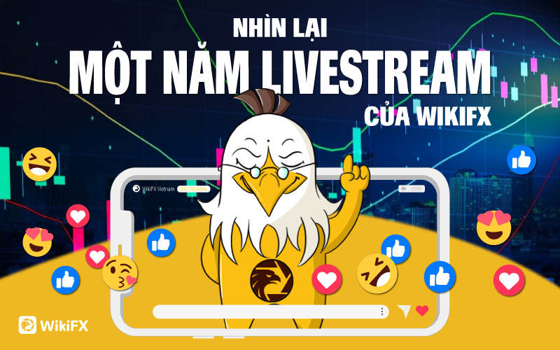 Học đầu tư miễn phí ở đâu? Nhìn lại một năm Livestream của WikiFX