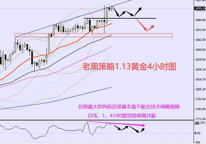 老黑策略：1.13外汇、黄金、原油分析策略