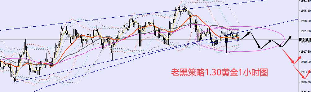老黑策略：1.30外汇、黄金、原油分析策略