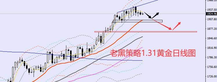 老黑策略：1.31外汇、黄金、原油分析策略