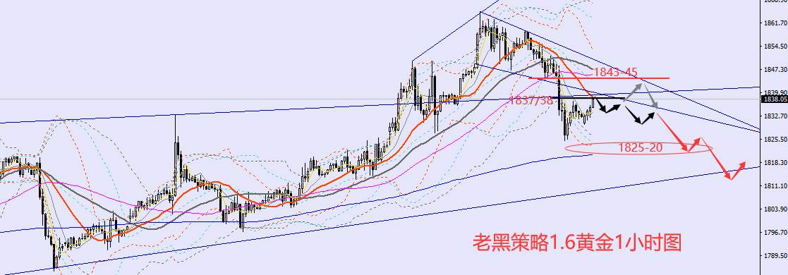 老黑策略：1.6外汇、黄金、原油分析策略