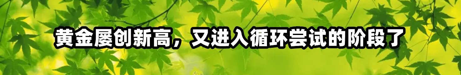 黄金屡创新高，又进入循环尝试的阶段了