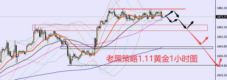 老黑策略：1.11外汇、黄金、原油分析策略
